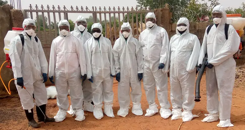 Avian influenza hits Kebbi as govt. intensifies control measures