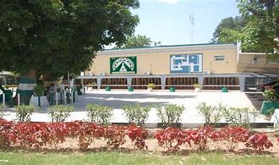 Varsity suspends staff member for alleged student maltreatment 